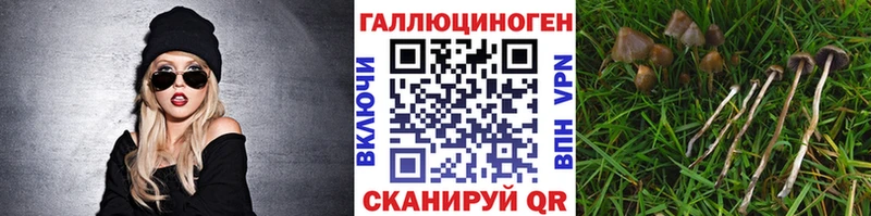 Псилоцибиновые грибы GOLDEN TEACHER  Воскресенск 